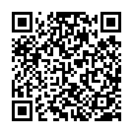 QR code for SI869Q