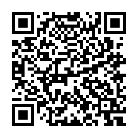 QR code for SM11IS