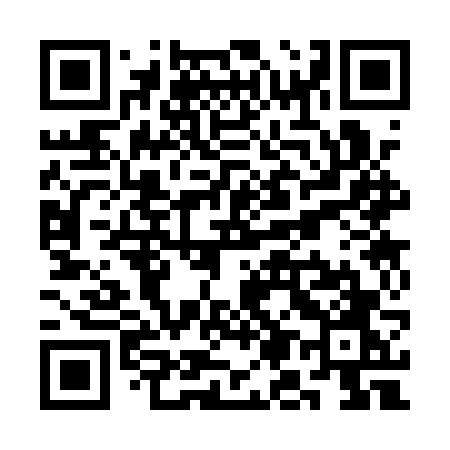 QR code for SM31VO