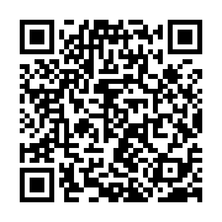QR code for SMNY19
