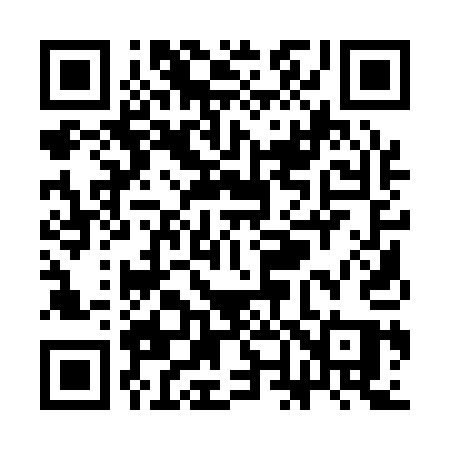 QR code for SN111Q