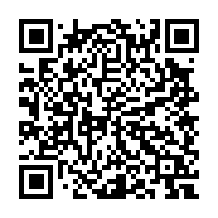 QR code for SOO08P
