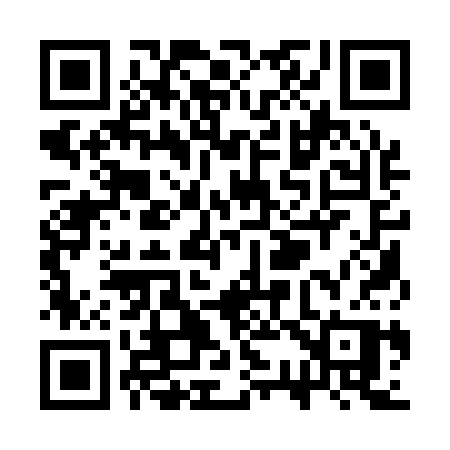 QR code for SS113P