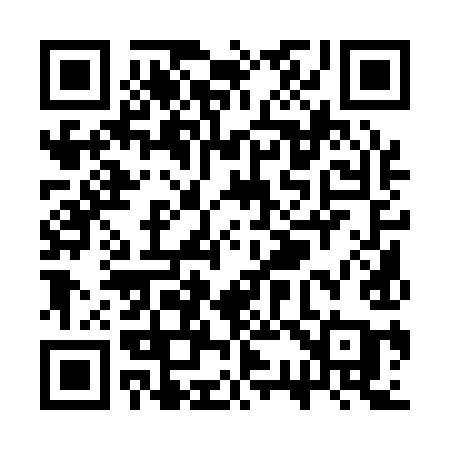 QR code for SS119A