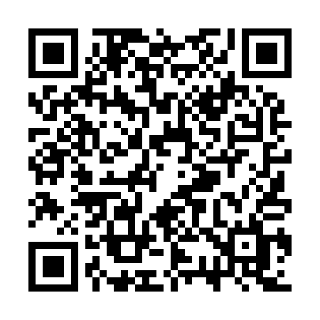 QR code for SS491L