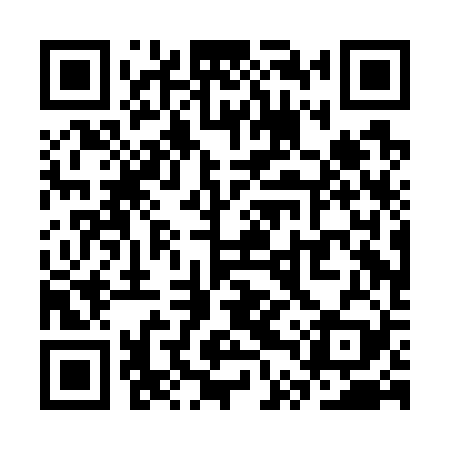 QR code for STPG29