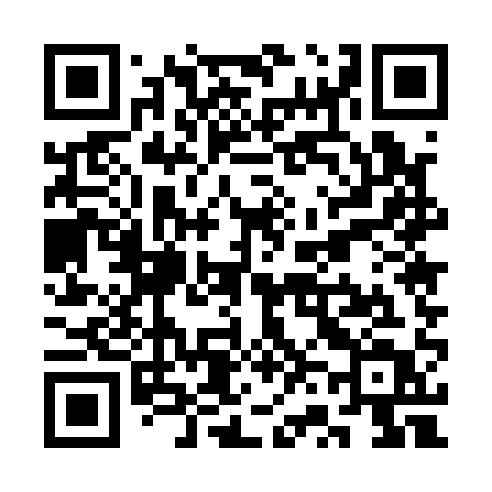 QR code for SV511T