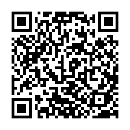 QR code for SX029H