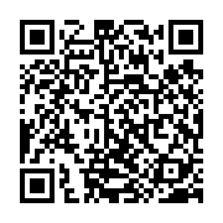 QR code for SYXF29