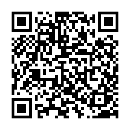 QR code for T011ZS