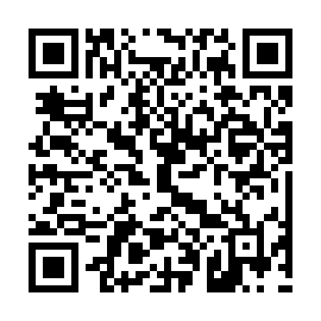 QR code for T0225L