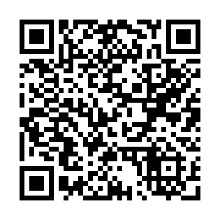 QR code for T0233I