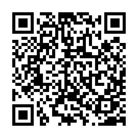 QR code for T0255P