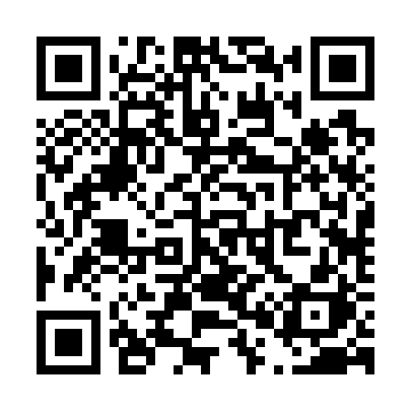 QR code for T0272H