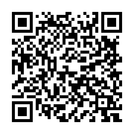 QR code for T0388P