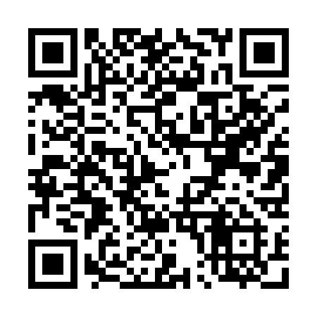 QR code for T0413I