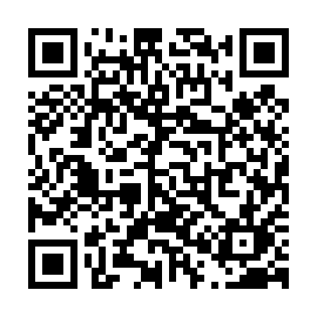 QR code for T0541L