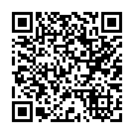 QR code for T0699J