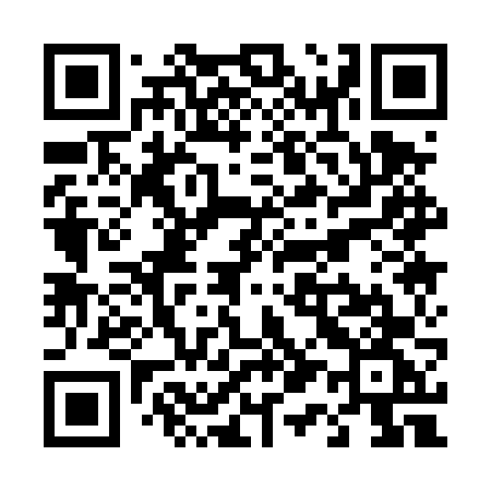 QR code for T114VG