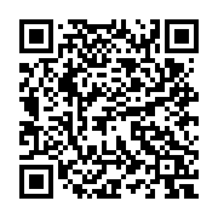 QR code for T11FPS