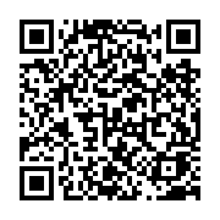 QR code for T11GOA
