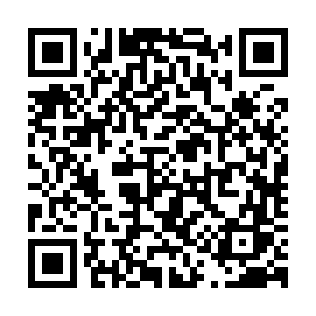 QR code for T1296S