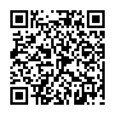 QR code for T133DS