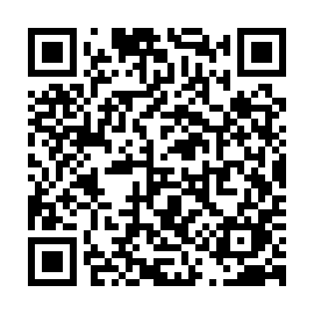 QR code for T13QPM