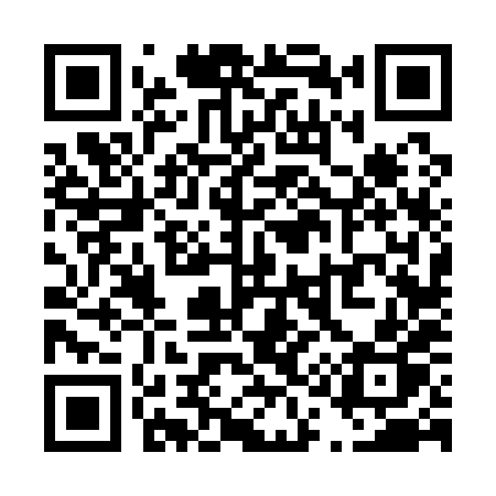 QR code for T1618P