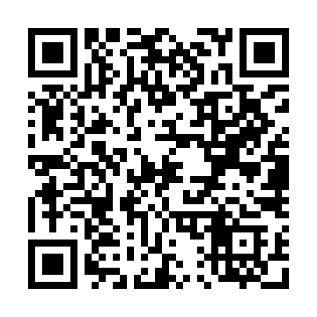 QR code for T17YIC