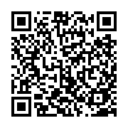 QR code for T217IE