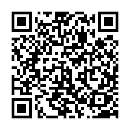 QR code for T2255X