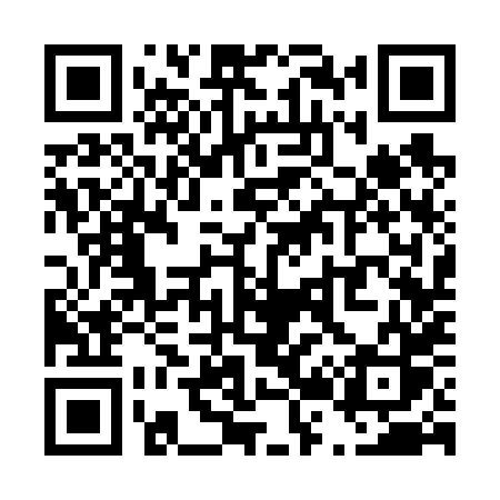 QR code for T2368S
