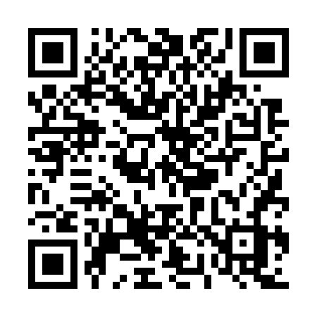 QR code for T2476Z
