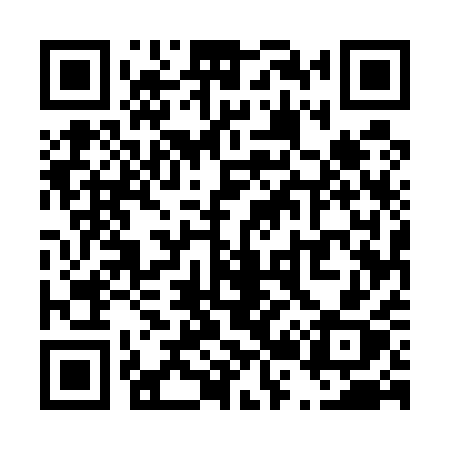 QR code for T2551X