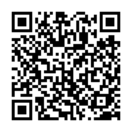 QR code for T256PI