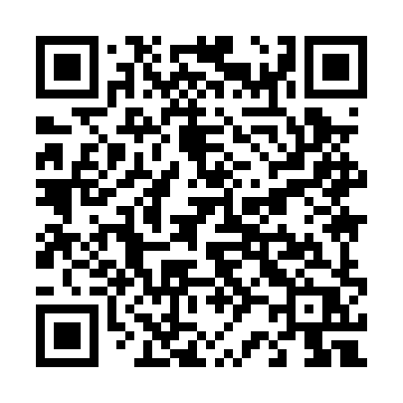 QR code for T290XP