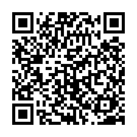 QR code for T295BM
