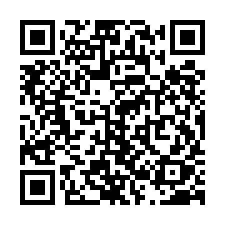 QR code for T29EIX