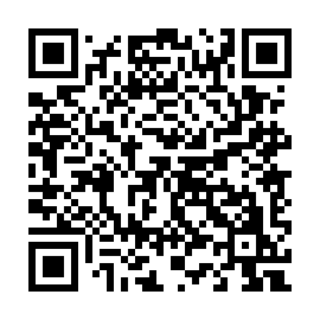 QR code for T305IO