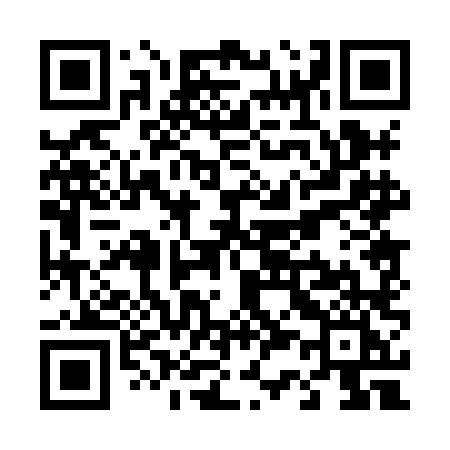 QR code for T308LI