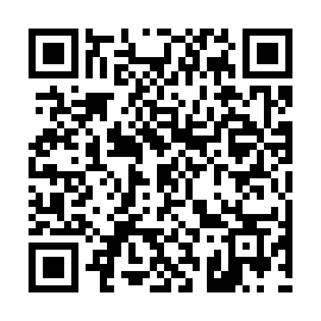 QR code for T3135S