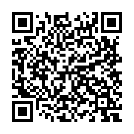 QR code for T3295N