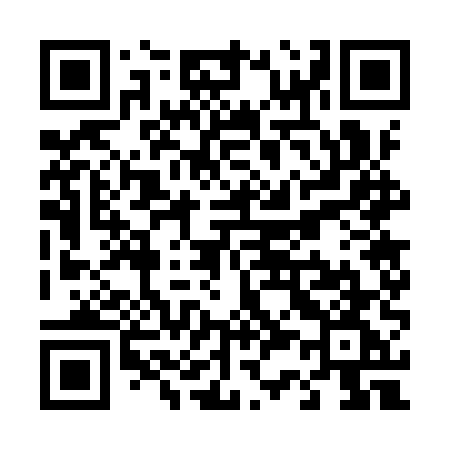 QR code for T379UG