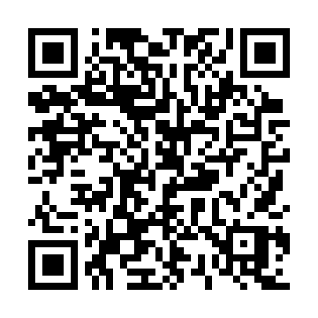 QR code for T383TP