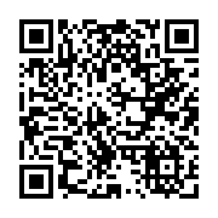 QR code for T384SO
