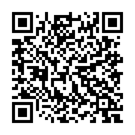 QR code for T385FF