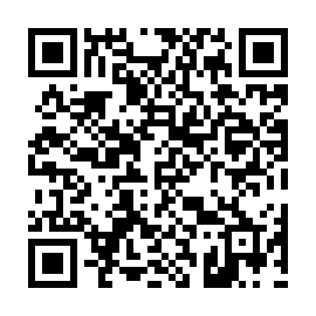 QR code for T389WP