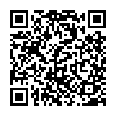 QR code for T393MS
