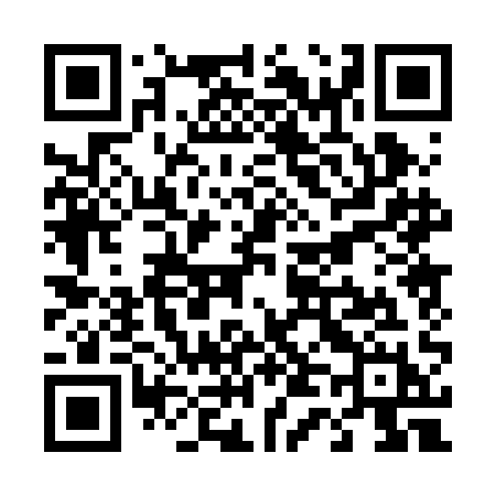 QR code for T402AH